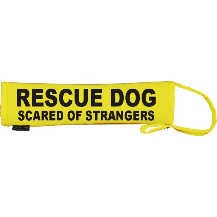 RESCUE DOG SCARED OF STRANGERS - Fluorescent Neon Yellow Dog Lead Slip