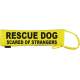 RESCUE DOG SCARED OF STRANGERS - Fluorescent Neon Yellow Dog Lead Slip