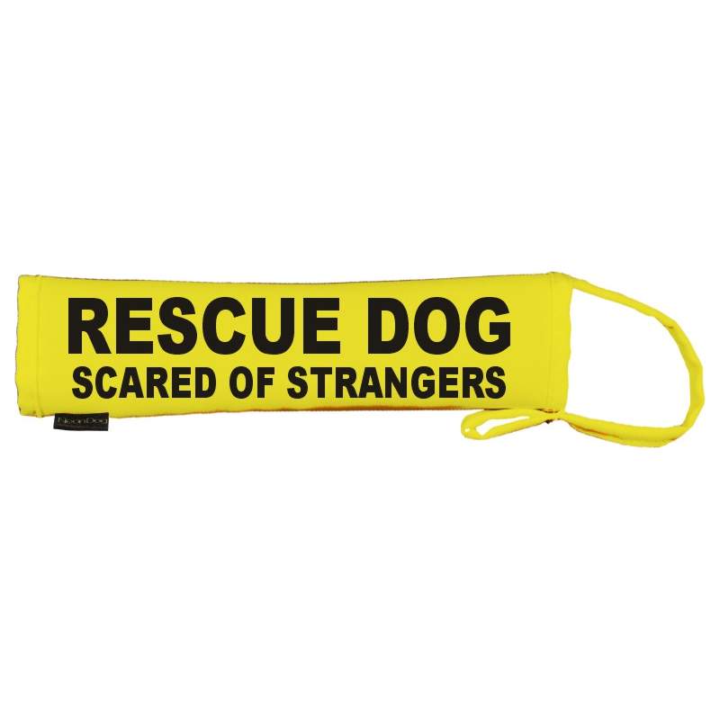 RESCUE DOG SCARED OF STRANGERS - Fluorescent Neon Yellow Dog Lead Slip