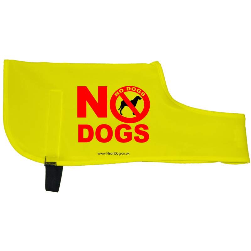 No Dogs - Fluorescent Neon Yellow Dog Coat Jacket