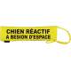 chien reactif a besion d'espace - Fluorescent Neon Yellow Dog Lead Slip