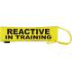 REACTIVE - IN TRAINING - Fluorescent Neon Yellow Dog Lead Slip