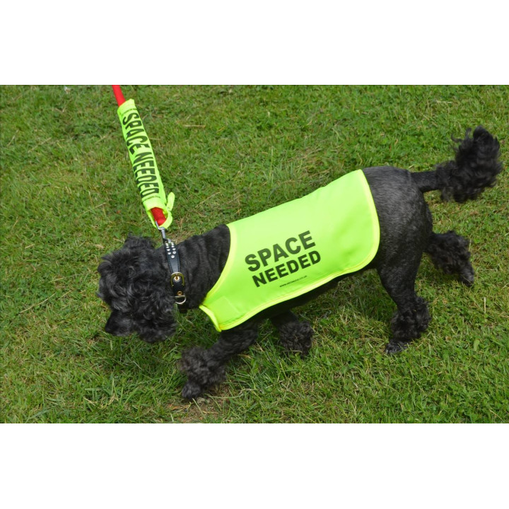 Space Needed - Fluorescent Neon Yellow Dog Coat Jacket