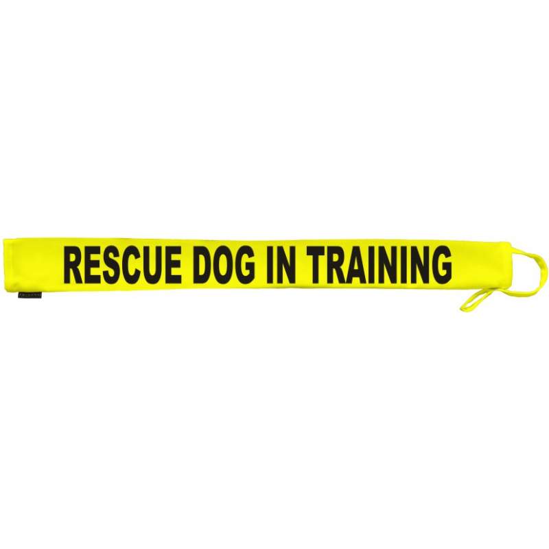 Rescue Dog In Training Fluorescent Neon Yellow Dog Lead Slip
