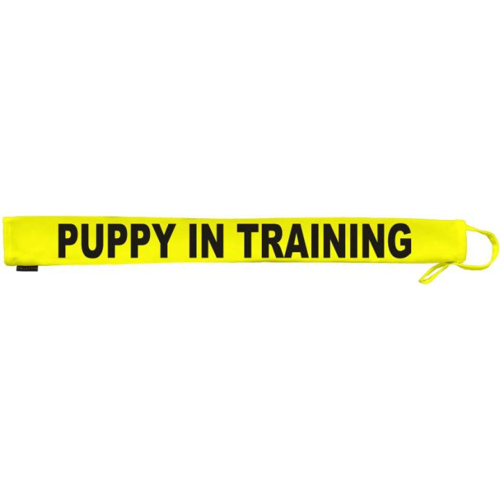 Puppy In training - Extra Long Fluorescent Neon Yellow Dog Lead Slip