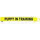Puppy In training - Extra Long Fluorescent Neon Yellow Dog Lead Slip