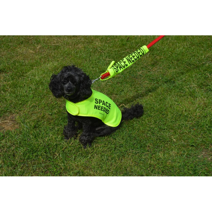 Space Needed - Fluorescent Neon Yellow Dog Coat Jacket