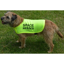 Space Needed - Fluorescent Neon Yellow Dog Coat Jacket