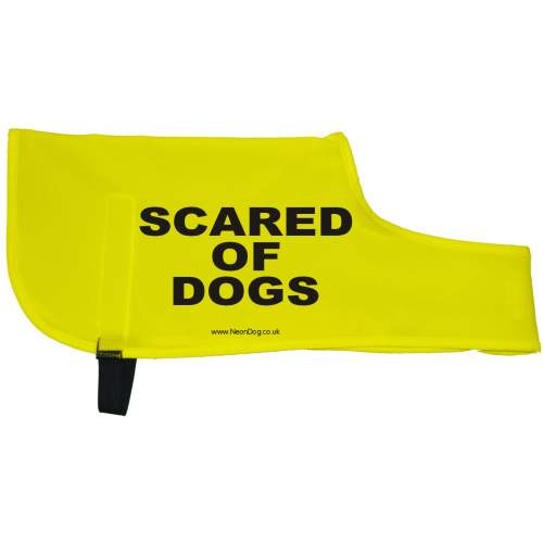 Scared of dogs - Fluorescent Neon Yellow Dog Coat Jacket