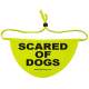 Scared of dogs- Fluorescent Neon Yellow Dog Bandana