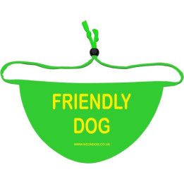 Friendly Dog Bandana