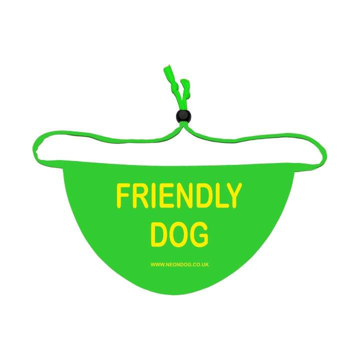 Friendly Dog Bandana