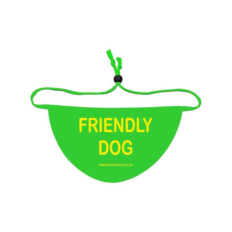 Friendly Dog Bandana