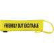FRIENDLY BUT EXCITABLE - Fluorescent Neon Yellow Dog Lead Slip