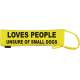 - Fluorescent Neon Yellow Dog Lead Slip