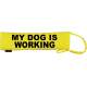 - Fluorescent Neon Yellow Dog Lead Slip