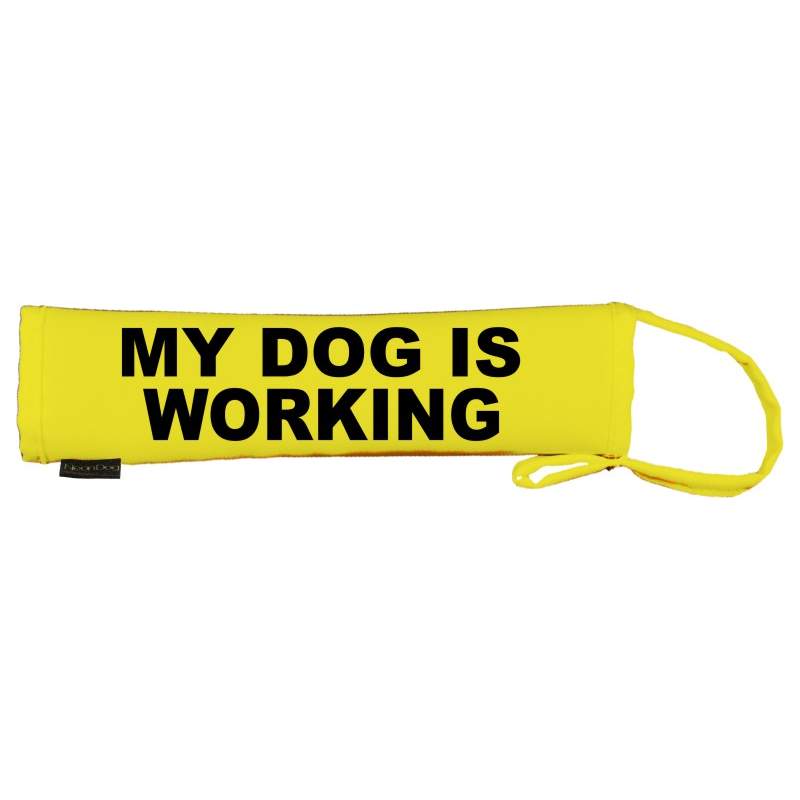 - Fluorescent Neon Yellow Dog Lead Slip