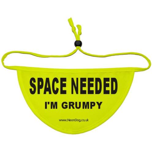 SPACE NEEDED I'M GRUMPY - Fluorescent Neon Yellow Dog Bandana