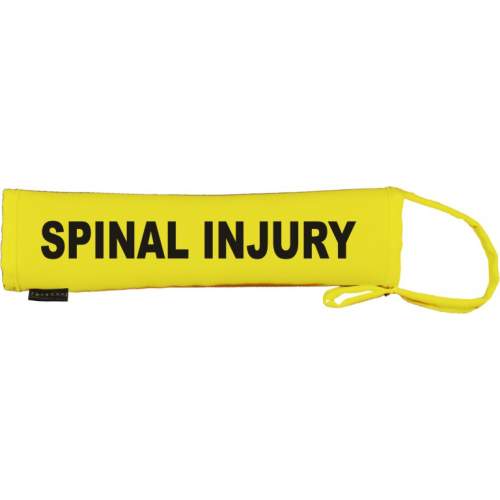 Spinal injury - Fluorescent Neon Yellow Dog Lead Slip
