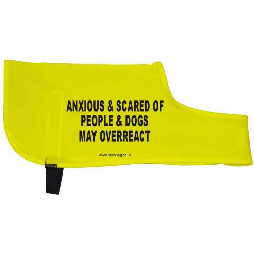 Anxious and scared of people and dogs May overreact - Fluorescent Neon Yellow Dog Coat Jacket