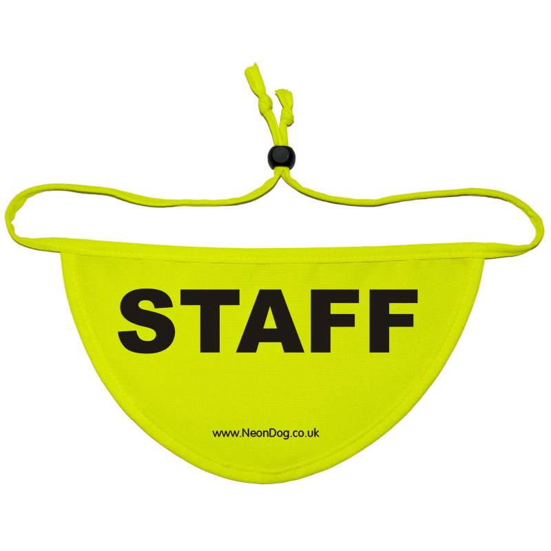 STAFF - Fluorescent Neon Yellow Dog Bandana