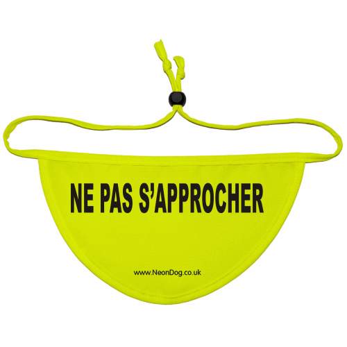 NE PAS S’APPROCHER - French Keep Away - Fluorescent Neon Yellow Dog Bandana