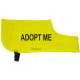 I May Look Friendly But I May Bite - Fluorescent Neon Yellow Dog Coat Jacket