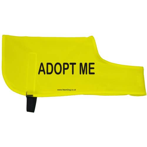 I May Look Friendly But I May Bite - Fluorescent Neon Yellow Dog Coat Jacket
