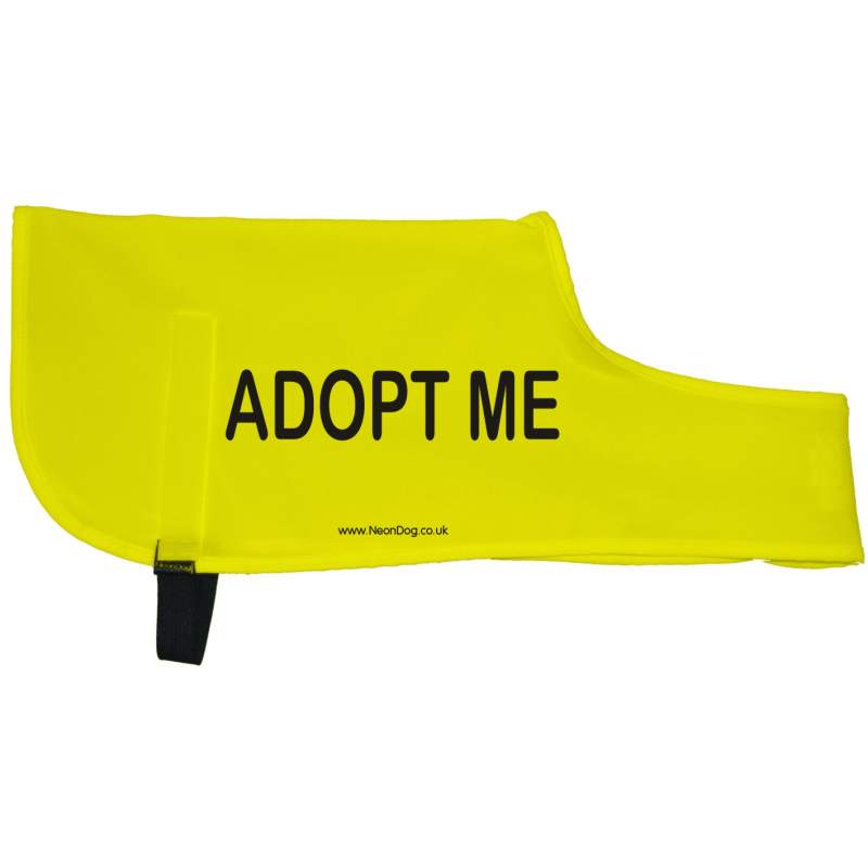 Adopt Me - Fluorescent Neon Yellow Dog Coat Jacket