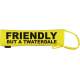 Friendly but a Twaterdale - Fluorescent Neon Yellow Dog Lead Slip