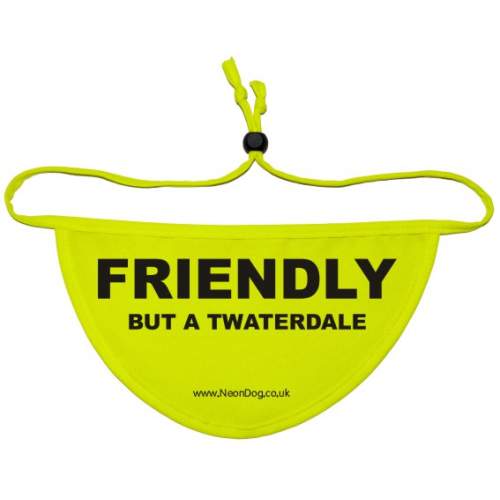 Friendly but a Twaterdale - Fluorescent Neon Yellow Dog Bandana