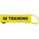 In Training - Fluorescent Neon Yellow Dog Lead Slip