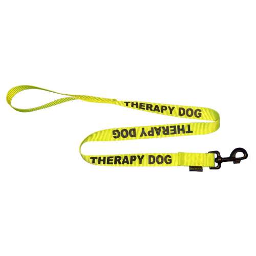 Therapy Dog - Fluorescent Neon Yellow Dog Lead