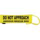 DO NOT APPROACH ANXIOUS RESCUE DOG - Fluorescent Neon Yellow Dog Lead Slip