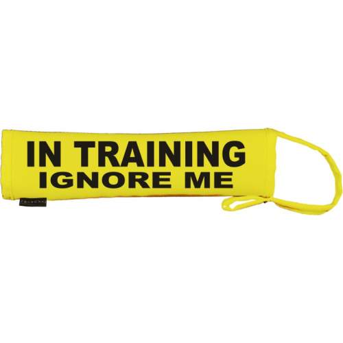 IN TRAINING IGNORE ME - Fluorescent Neon Yellow Dog Lead Slip