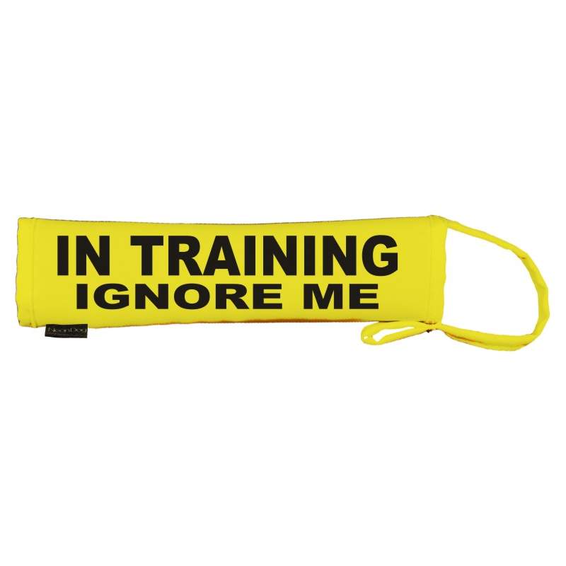 Keep Your Dog Away - Fluorescent Neon Yellow Dog Lead Slip