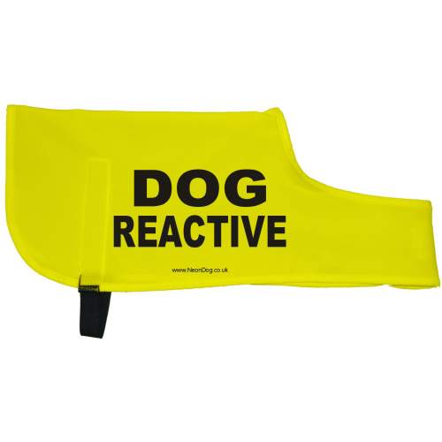DOG REACTIVE - Fluorescent Neon Yellow Dog Coat Jacket