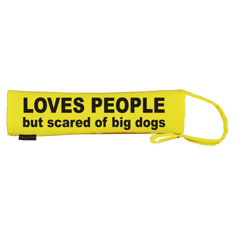 LOVES PEOPLE but scared of big dogs - Fluorescent Neon Yellow Dog Lead Slip