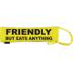 Keep Your Dog Away - Fluorescent Neon Yellow Dog Lead Slip