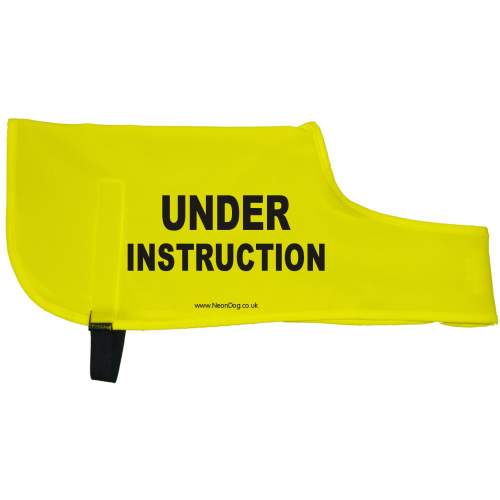 Under Instruction - Fluorescent Neon Yellow Dog Coat Jacket