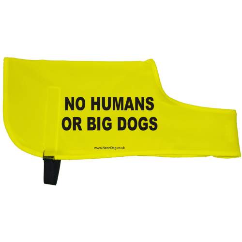 No Humans Or Big Dogs - Fluorescent Neon Yellow Dog Coat Jacket
