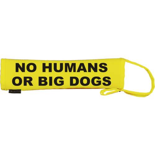 No Humans Or Big Dogs - Fluorescent Neon Yellow Dog Lead Slip