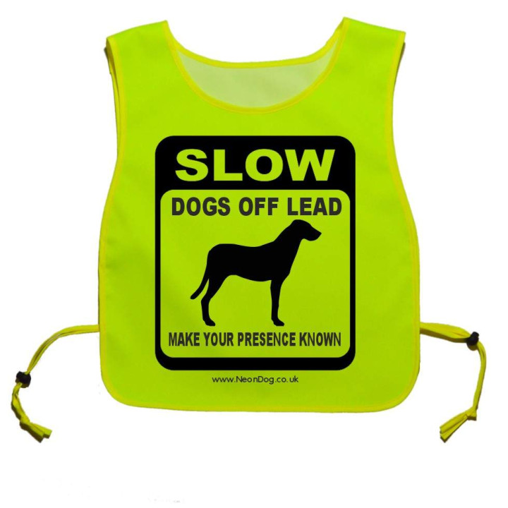 Slow Dogs off lead Make your presence known - Fluorescent Neon Yellow Tabard
