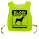 Slow Dogs off lead Make your presence known - Fluorescent Neon Yellow Tabard