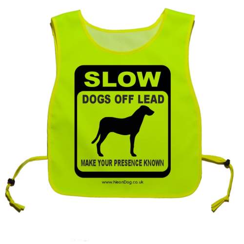 My Dog Requires Space - Fluorescent Neon Yellow Tabbard