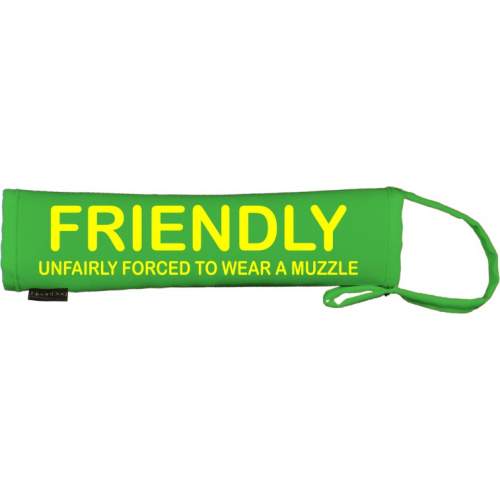 - Fluorescent Neon Yellow Dog Lead Slip