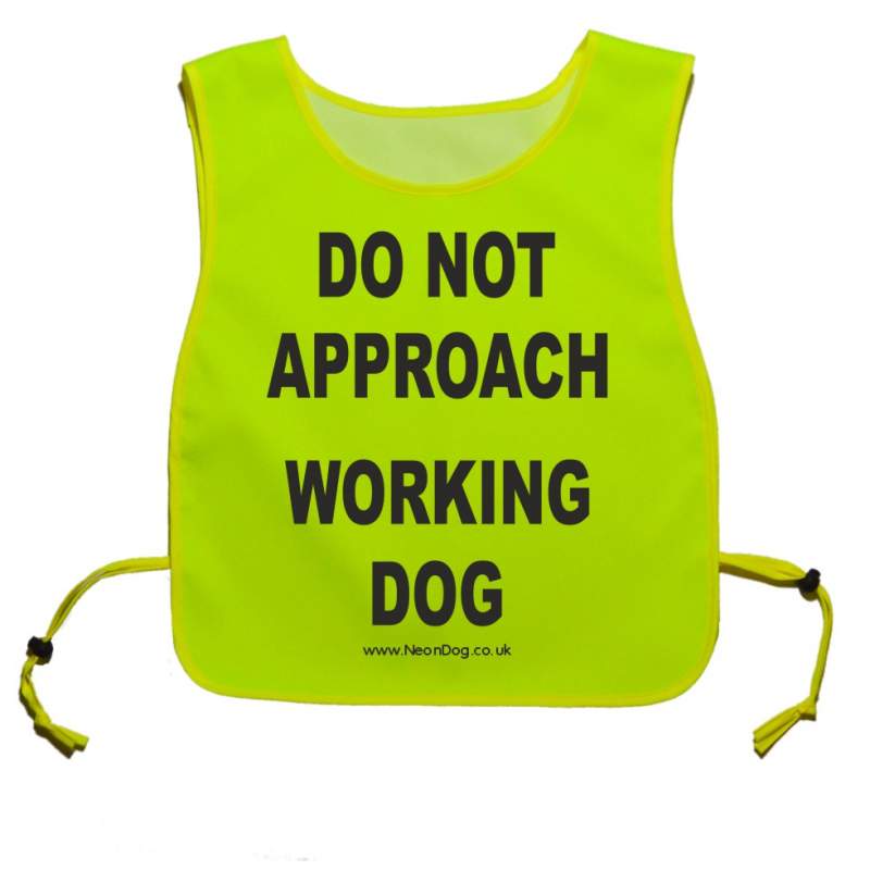 My Dog Requires Space - Fluorescent Neon Yellow Tabbard