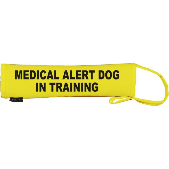 Medical alert dog in training - Fluorescent Neon Yellow Dog Lead Slip