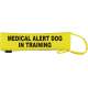 Medical alert dog in training - Fluorescent Neon Yellow Dog Lead Slip