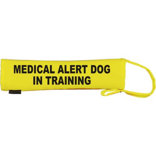 Medical alert dog in training - Fluorescent Neon Yellow Dog Lead Slip